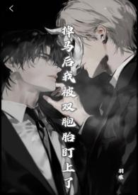 掉马后我被双胞胎盯上了(兄弟丼) by羽痕