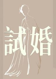 试婚媵妾与将军的
