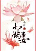 小嫡妻讲了什么