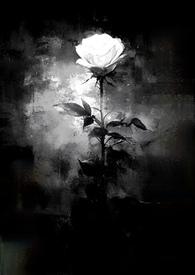 藏起来的星光全文阅读