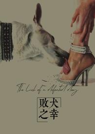 败犬就要有败犬的样子