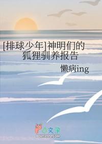 排球少年狐狸战