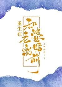 重生主角和老婆离婚后的