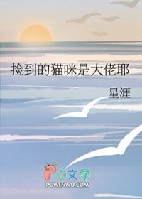 捡了只大猫