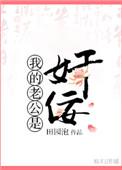 我的老公是奸佞全文免费阅读
