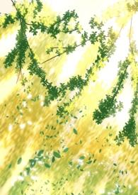 阴暗普女但第三者讲的什么