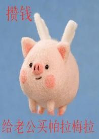 攒钱给老公买帕拉梅拉po
