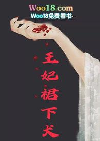 王妃v5