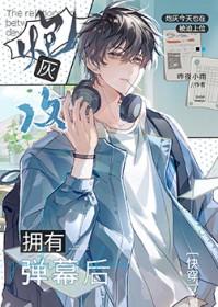 炮灰攻 什么意思