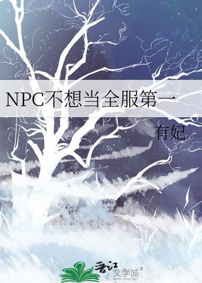 NPC不想当全服第一 有妃TXT