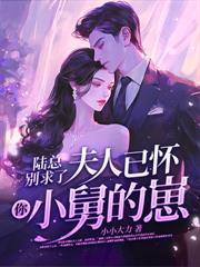 贺律师又沦陷了在线观看