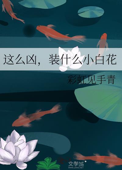 装什么小白花免费阅读