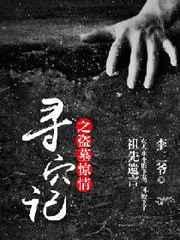 盗墓寻龙 在线播放
