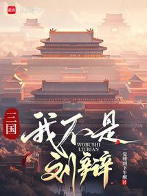 三国我刘辩让大汉再次伟大起来