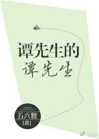 谭先生的谭先生简介