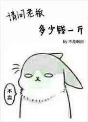 老板价格