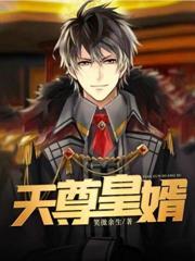 天尊皇婿杨九天陈艺免费