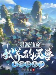 灵源仙途我养的灵兽太懂感恩了TXT