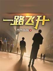 一路飞升
