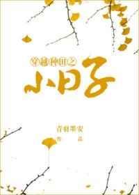 穿越种田之小日子作者青羽墨安