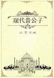 现代贵公子by北有凉城TXT百度