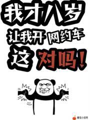 让我开网约车这对吗!暗黑网