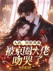 入夜娇软乖乖被京圈大佬吻哭了免费完整