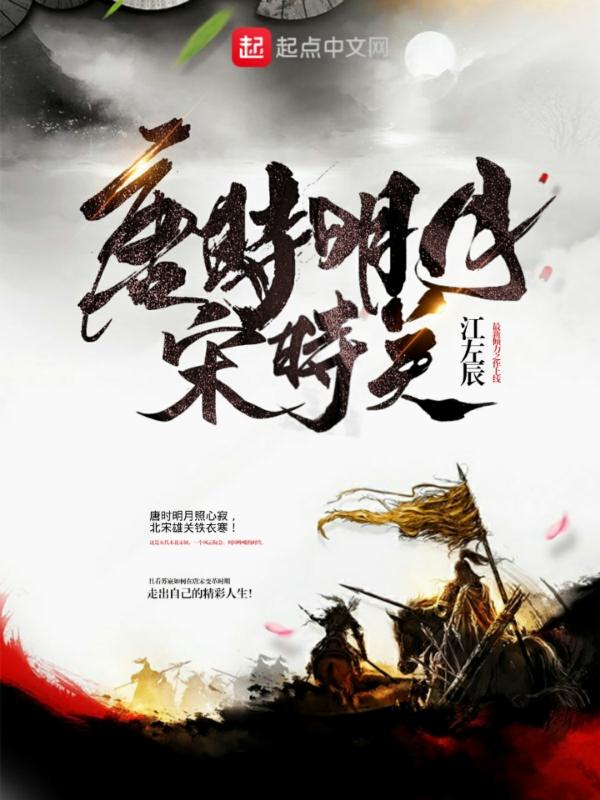 唐时明月宋时关电子书